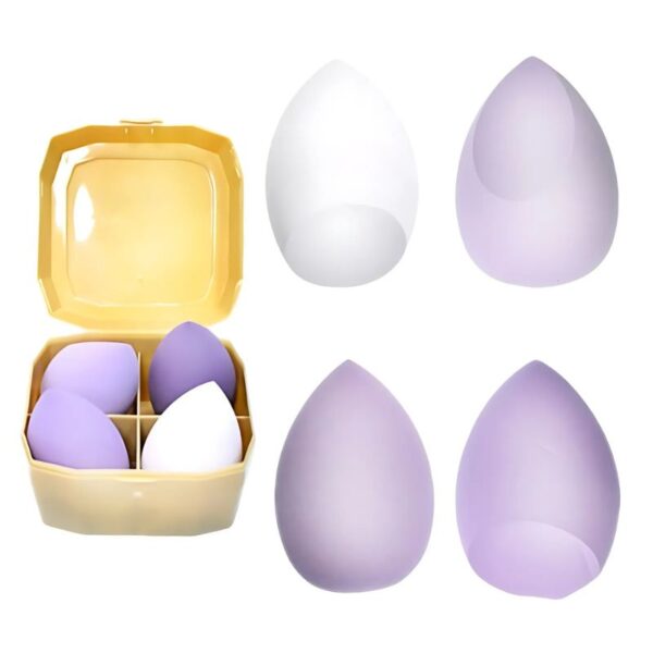 Kit De Esponjas De 4Pcs En Caja Plástica de Colores